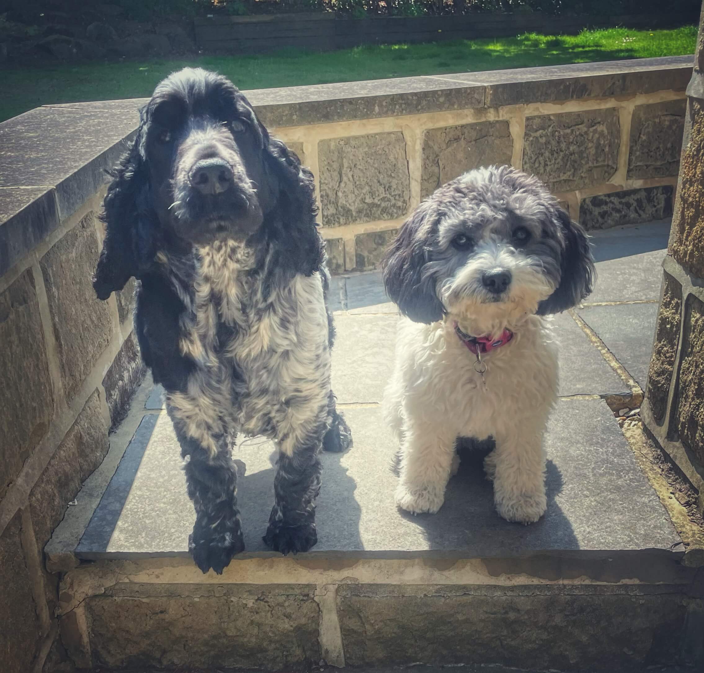 The matchmaker+ office managers