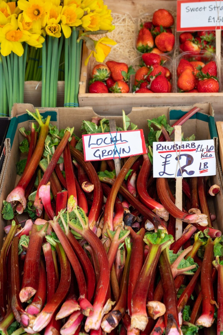 matchmaker+ by rhubarblegal